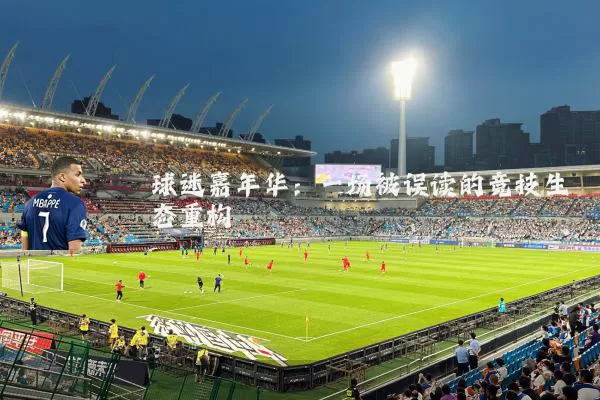 球迷嘉年华：一场被误读的竞技生态重构